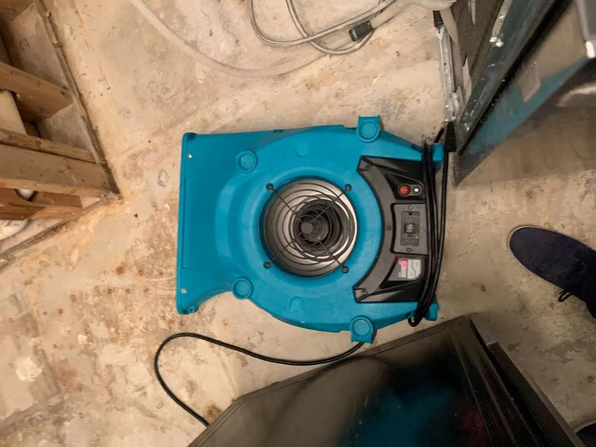 Air mover drying equipment for Mold Remediation & Removal in Cedar Hills