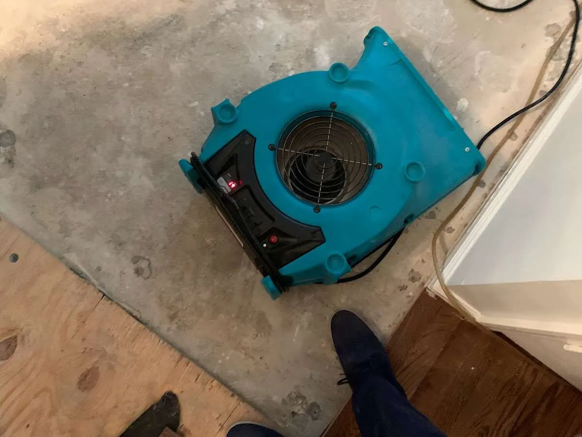 Air mover drying subfloor during Leak Detection & Repair in Cedar Hills